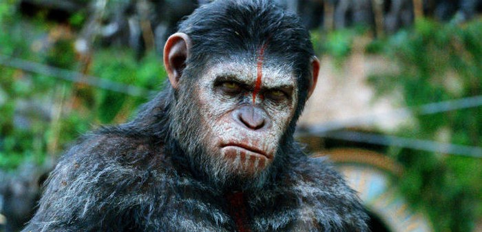 Un concours pour jouer dans La Planète des Singes 3