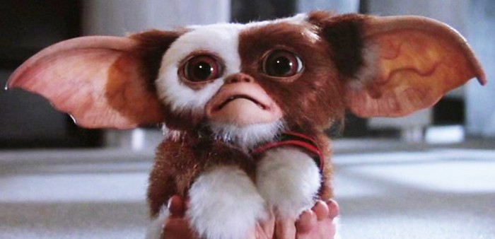 Gremlins 3 : le film ne sera pas un remake !