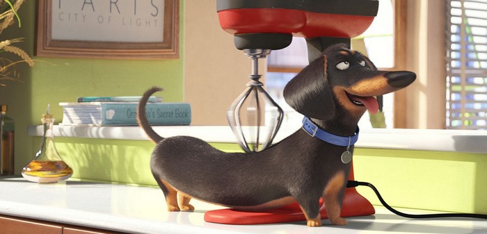 Secret life of pets : les animaux de compagnie partent à l'aventure