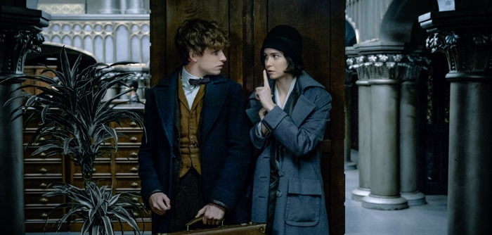 Fantastic Beasts : le film aura droit � quatre suites